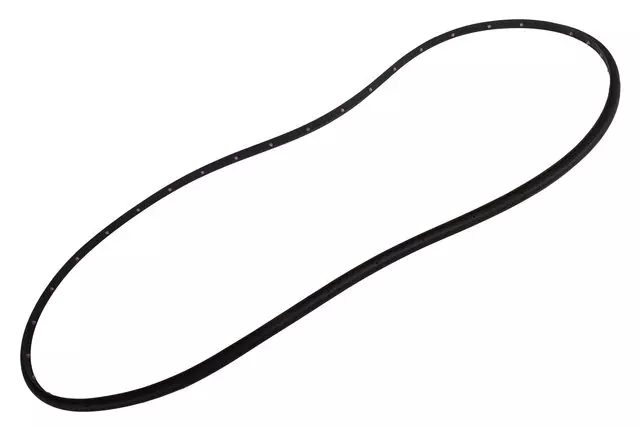 42766261 - : Front Driver Side Door Weatherstrip for GM Image