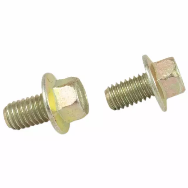 W500010S309 - : Converter Shield Screw for Lincoln: MKC Image