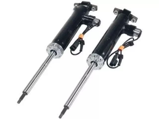 Shock Absorber - Ford (EG9Z-18125-L)