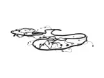 68629386AB - Electrical: Body Right Wiring for Mopar Image