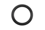 12650970 - : Engine Variable Timing Solenoid Seal for ACDelco Image