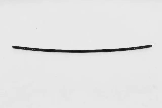 YA01P61AA - Exterior  Ornamentation: Drip Rail Molding, Left for Mopar Image