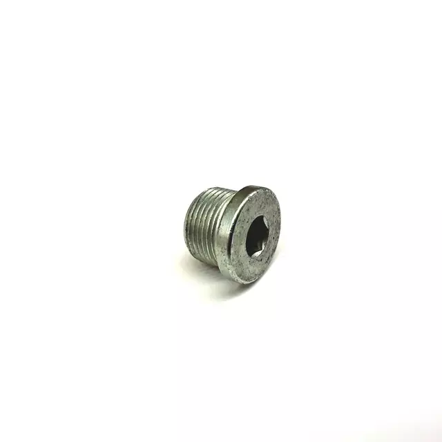 N10037106 - : Drain Plug for Audi: A4, A4 Quattro, S4 Image