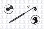 84156L - : Hood Lift Support for Focus Auto Parts Image