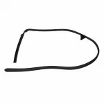 8S4Z5451822A - Body: Weather-strip On Body for FORD Image
