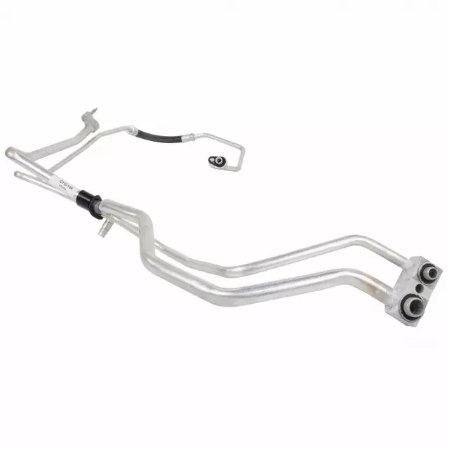 Valve Assembly Evaporator Expansion - Ford (QYG-186)