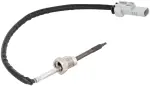 TS30520 - Emission Control: Exhaust Gas Temperature (EGT) Sensor for DELPHI Image