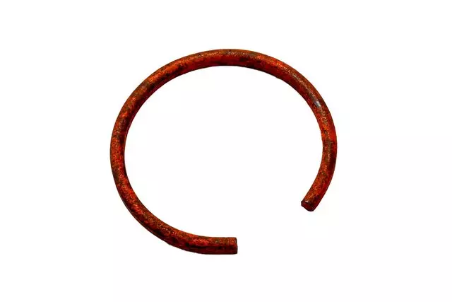 19302221 - : Rear Axle Shaft Bearing Retaining Ring for GM Image