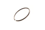 24285676 - : F (S)Ring for GM Image