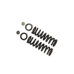 53332837 - : B12 (Special) - Coil Spring Set for Bilstein Image