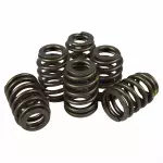 F6ZZ6513A - : Valve Springs for Ford: E-150, E-150 Club Wagon, E-150 Econoline, E-150 Econoline Club Wagon, E-250, E-250 Econoline, F-150, F-150 Heritage, Freestar, Mustang, Thunderbird, Windstar | Mercury: Cougar, Monterey Image