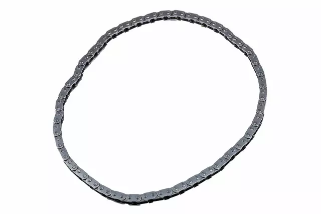 97945067 - : F Chain for GM Image
