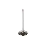 V1934 - : Stock Replacement Intake Valve for Melling Image