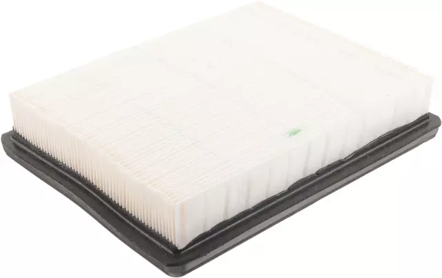 Air Filter - GM (10342024)