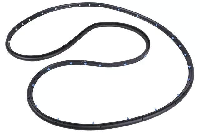 Front Passenger Side Door Weatherstrip - GM (84222074)