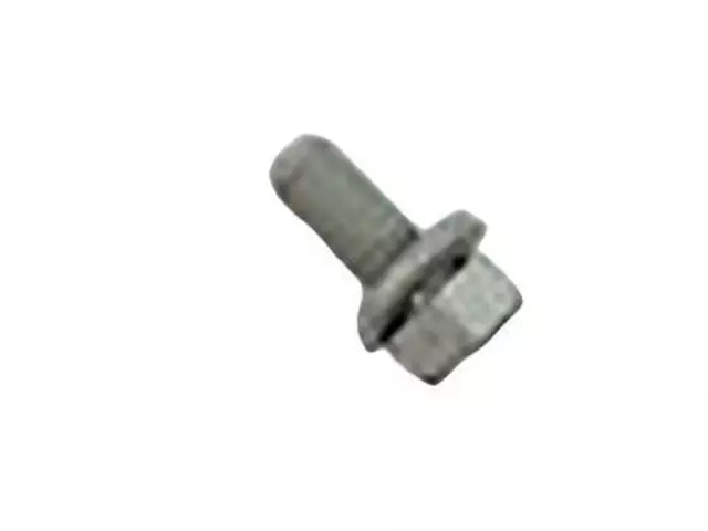 N801525S439 - : Screw ***SOLD QUANTITY (1) EACH*** for Ford Image