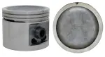 P50488030 - : Engine Piston Set for Enginetech Image