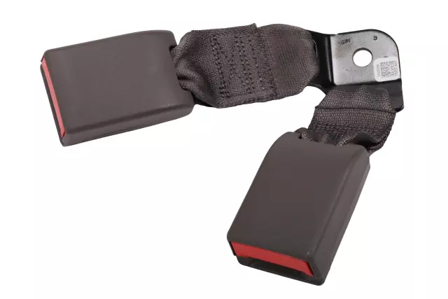 Gray Rear Driver Side Seat Belt Buckle - GM (84700583)