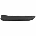 9L3Z1625504CA - : Window Trim for Ford: F-150 Image