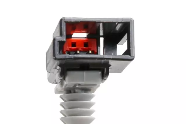 Deck Lid Center Applique with License Plate Lamp - GM (95380838)