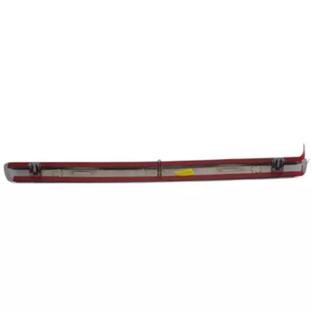 Rear Molding - Ford (9L3Z-9929039-A)