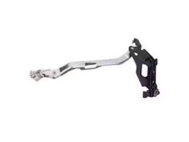 FL3Z16797B - Body: Hinge for Ford: F-150 Image