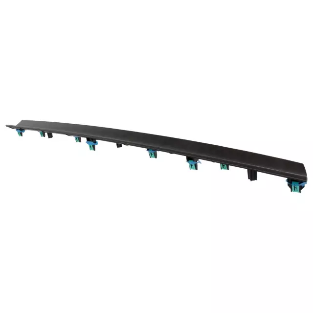 Insert Panel - Ford (MA1Z-5804338-MA)