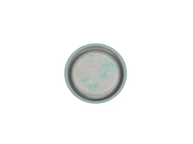6507663AA - Engine: Camshaft Plug, Rear for Mopar Image
