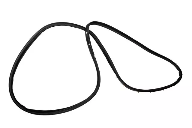 13454650 - Body: Door Weather-strip for Buick: Regal Image