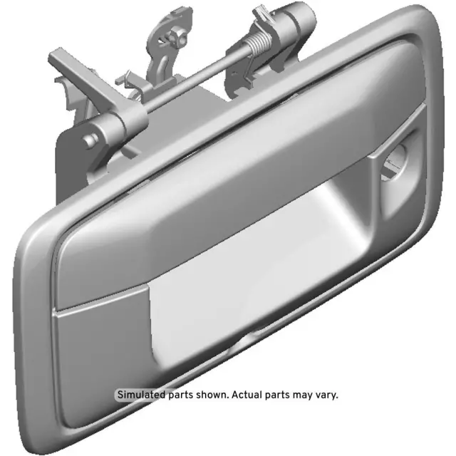 84377237 - Body: Handle for Chevrolet: Colorado | GMC: Canyon Image