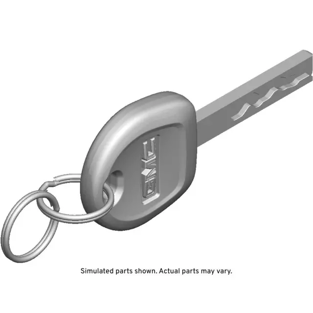 13520323 - : Door Lock And Ignition Key for GM Image