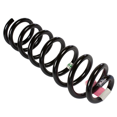 Coil Spring - Ford (5C3Z-5310-M)