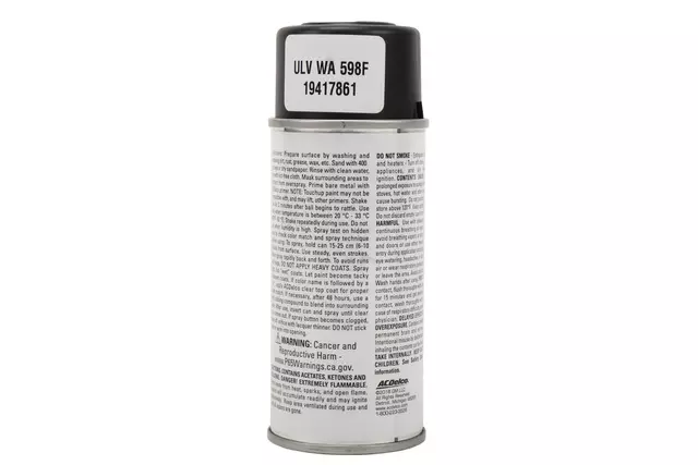Anthracite (WA598F) Touch-Up Paint - 5 oz Spray - GM (19417861)