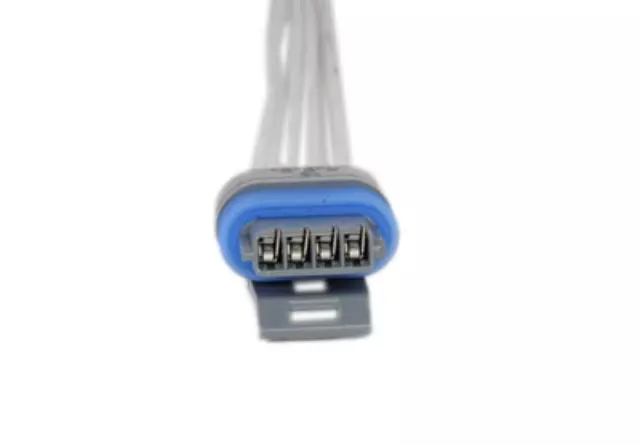 4-Way Female Gray Multi-Purpose Pigtail - GM (15305942)