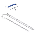 M1PZ7803144AA - Body: Windshield Molding for Ford Image