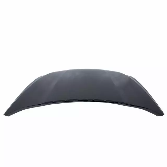 Hood Panel - FORD (dg1z16612a)