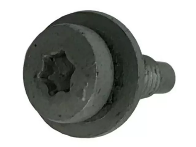 Step Cover Bolt - Ford (W700665-S442)