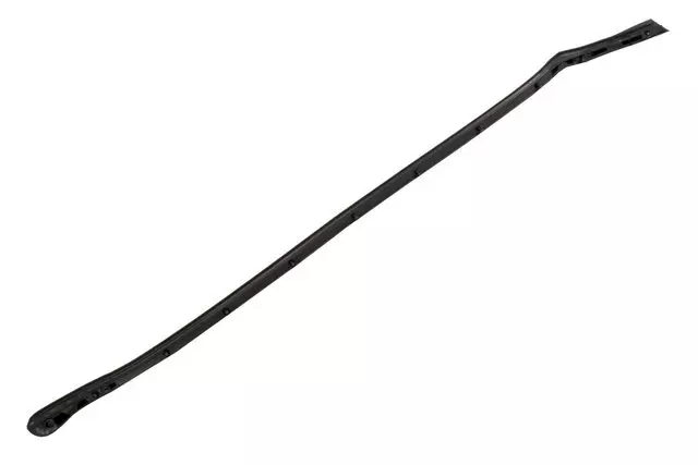 Rear Weather-Strip - GM (84157653)
