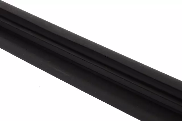 42562888 - Body: Glass Run for Chevrolet: Bolt EV Image