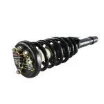 821012 - : 09-14 Acura TL SH-AWD Suspension Strut and Coil Spring Assembly  - Front Right for GSP Image