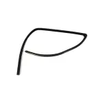 55276181AH - : Glass Run Seal, Left for Mopar Image