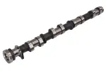 12565171 - Engine: Camshaft for GM Image