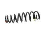 1W6Z5310AA - : Coil Spring for Ford: Thunderbird Image
