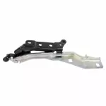 FL3Z16796B - Body: Hinge for Ford: F-150 Image
