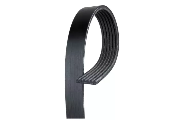V-Ribbed Serpentine Belt - GM (19244950)