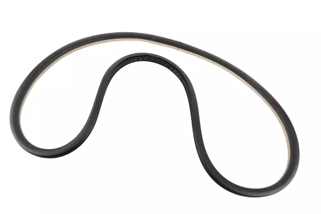 20968714 - Body: Weather-strip On Body for Cadillac: CTS Image