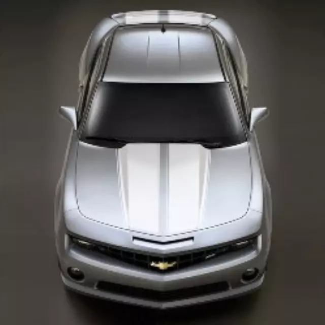 Exterior Trim, Rally Stripe Package - GM (22774080)