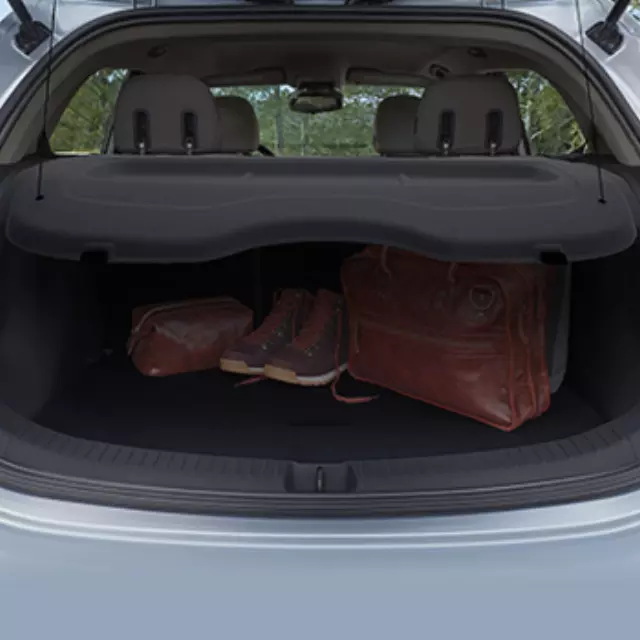 42533228 - Interior: Cargo Area Security Enclosure for Chevrolet: Bolt EV Image