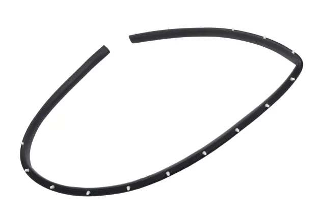 42440817 - Body: Lower Weather-strip for Chevrolet: Blazer Image