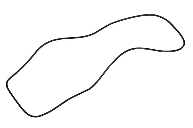 26204699 - : Sunroof Window Seal for GM Image